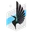 Minnesota United
